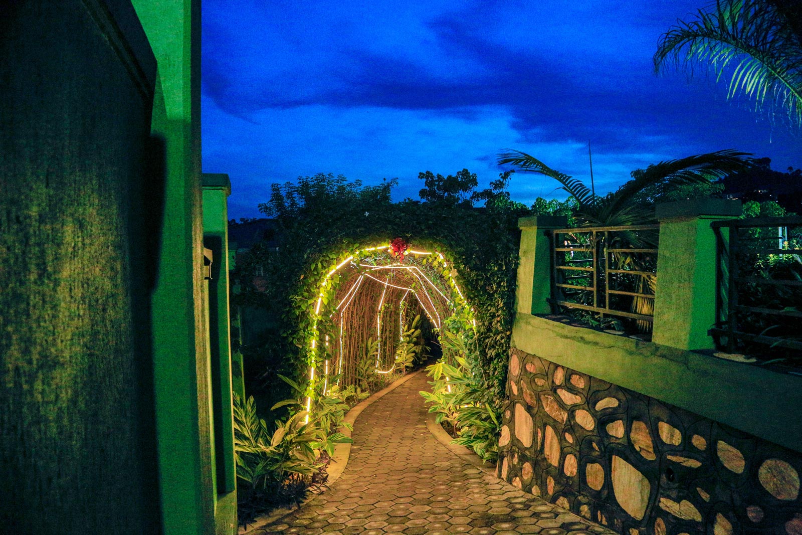 Garden at Night